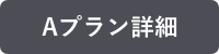 Aプラン詳細