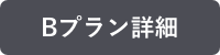 Bプラン詳細